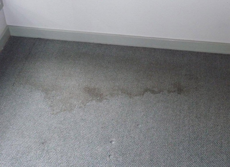 luxe carpet cleaning