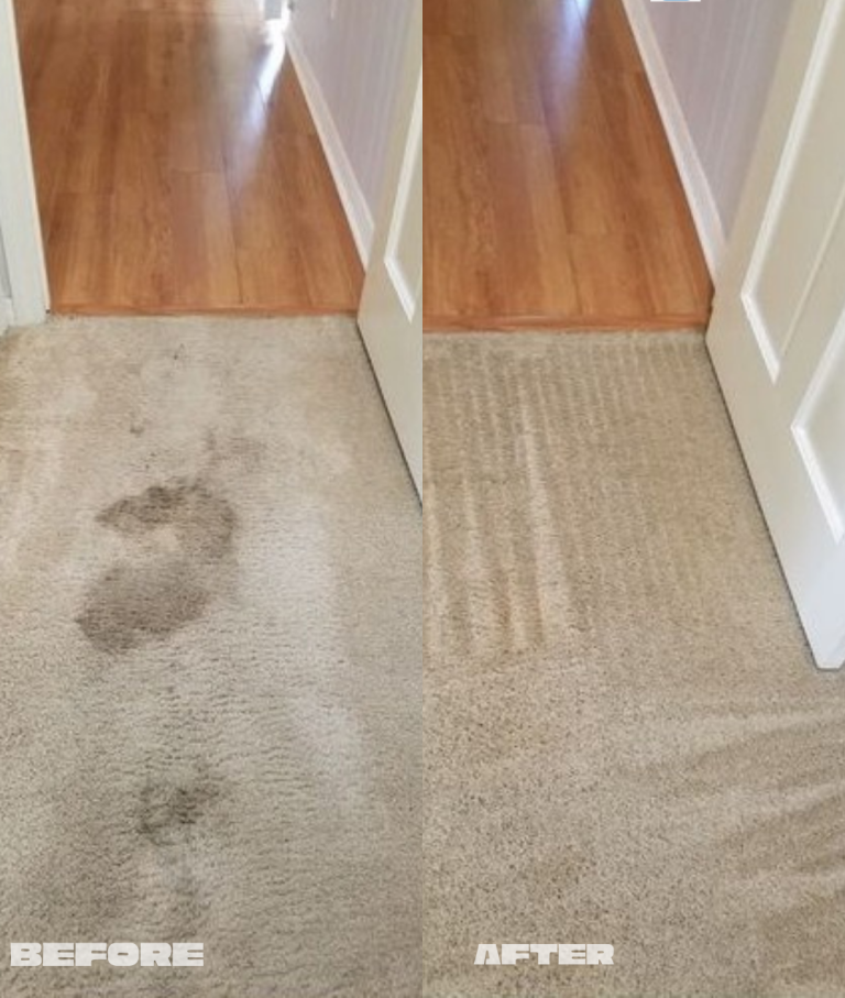 Luxe Carpet Cleaning