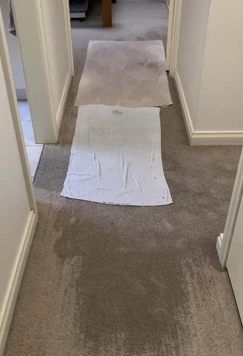 Hallway with beige carpet and two towels laid lengthwise along the floor, a white towel in the foreground and a light-colored towel further down the hall.